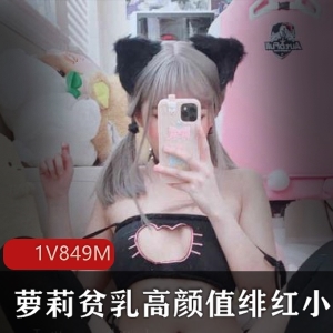 绯红妹子与小猫的飞机场高颜值合集